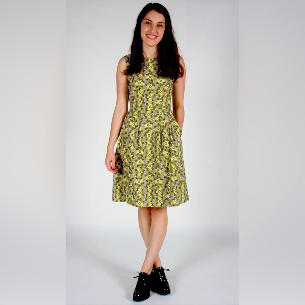 BIRDS OF NORTH AMERICA Sz  6 Eagle Dress In Winter Mist 100% Cotton Midi Dress